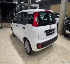 Auto - Fiat panda 1.0 firefly s&s hybrid