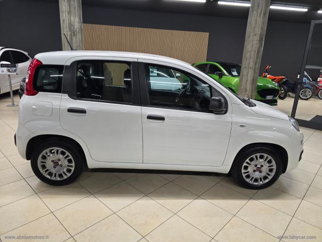 Auto - Fiat panda 1.0 firefly s&s hybrid