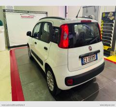 Auto - Fiat panda 1.2 lounge