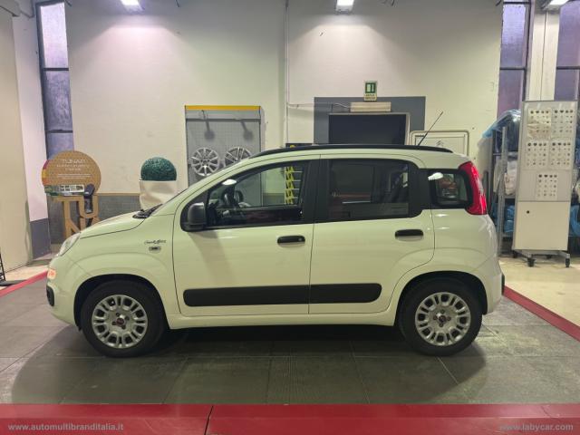 Auto - Fiat panda 1.2 lounge