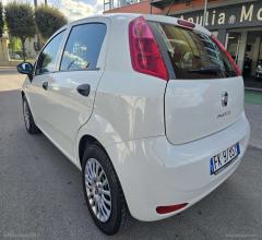 Auto - Fiat punto 1.3 mjt ii s&s 95 cv 5p. street