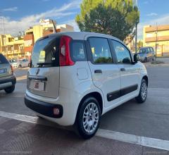 Auto - Fiat panda 1.0 firefly s&s hybrid easy