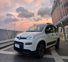 Auto - Fiat panda 1.0 firefly s&s hybrid city life