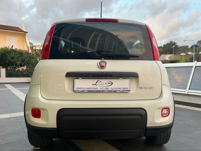 Auto - Fiat panda 1.0 firefly s&s hybrid city life