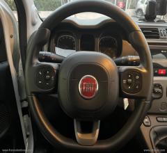 Auto - Fiat panda 1.0 firefly s&s hybrid city life