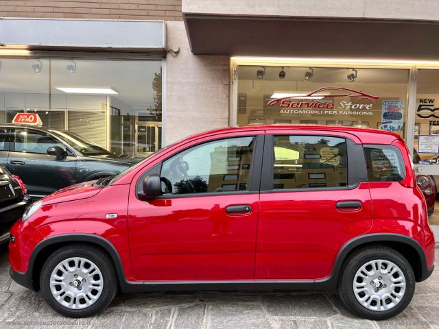 Auto - Fiat nuova panda 1.0 firefly s&s hybrid