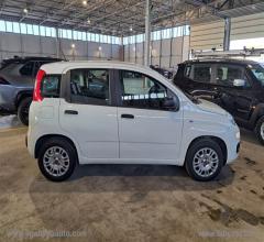 Auto - Fiat panda 1.2 easy