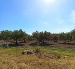 Appartamenti in Vendita - Terreno edificabile in vendita a misiliscemi fontanasalsa