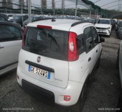 Auto - Fiat panda 1.0 firefly s&s hybrid city life