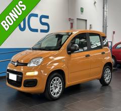 Fiat panda 1.2 easy