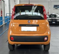 Auto - Fiat panda 1.2 easy