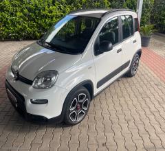 Auto - Fiat panda 1.0 firefly s&s hybrid city life