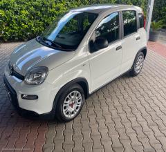 Auto - Fiat panda 1.0 firefly s&s hybrid