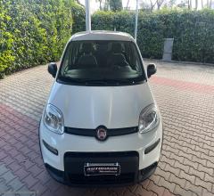 Auto - Fiat panda 1.0 firefly s&s hybrid