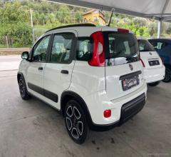 Auto - Fiat panda 1.0 firefly s&s hybrid city life