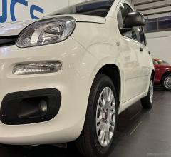 Auto - Fiat panda 1.2 easy