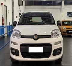 Auto - Fiat panda 1.2 easy