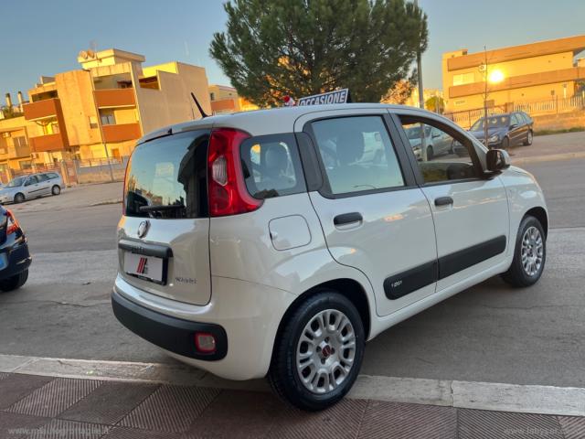 Auto - Fiat panda 1.0 firefly s&s hybrid easy