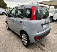 Auto - Fiat panda 1.0 firefly s&s hybrid easy