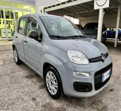 Auto - Fiat panda 1.0 firefly s&s hybrid easy