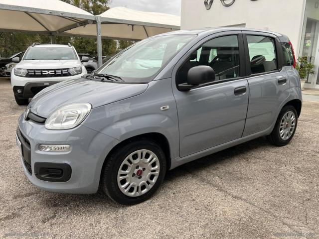 Auto - Fiat panda 1.0 firefly s&s hybrid easy