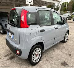 Auto - Fiat panda 1.0 firefly s&s hybrid easy