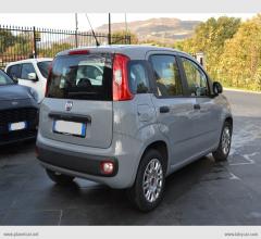 Auto - Fiat panda 1.3 mjt 95 cv s&s easy