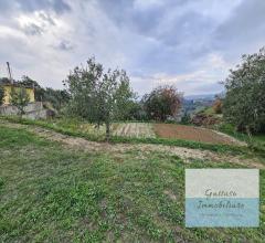 Appartamenti in Vendita - Terreno agricolo in vendita a reggio di calabria aretina