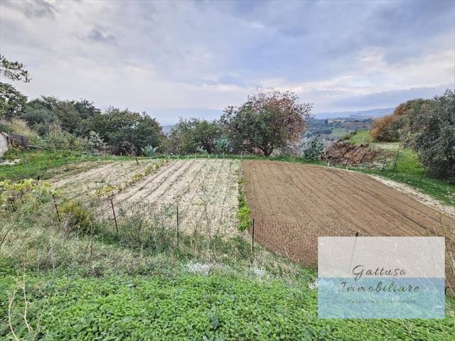 Appartamenti in Vendita - Terreno agricolo in vendita a reggio di calabria aretina