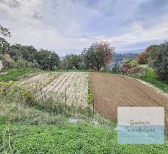 Appartamenti in Vendita - Terreno agricolo in vendita a reggio di calabria aretina