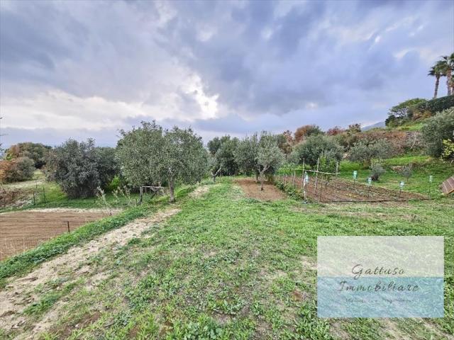 Appartamenti in Vendita - Terreno agricolo in vendita a reggio di calabria aretina