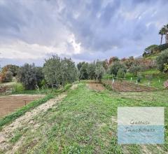 Appartamenti in Vendita - Terreno agricolo in vendita a reggio di calabria aretina