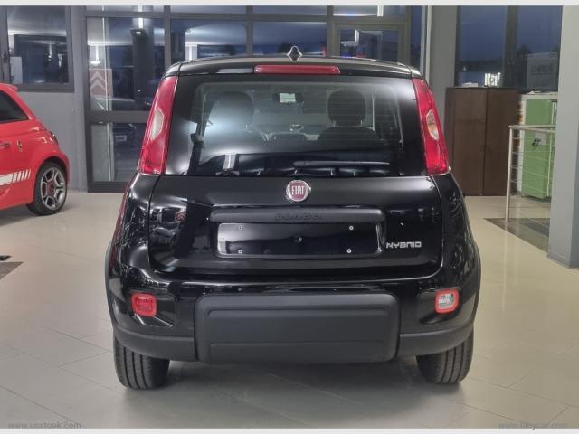 Auto - Fiat panda 1.0 firefly s&s hybrid