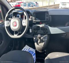 Auto - Fiat panda cross 1.0 firefly s&s hybrid