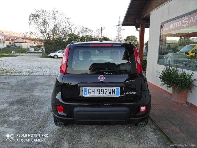 Auto - Fiat panda 1.0 firefly s&s hybrid city life