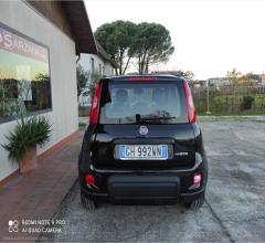 Auto - Fiat panda 1.0 firefly s&s hybrid city life