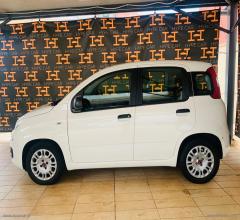 Auto - Fiat panda 1.0 firefly s&s hybrid