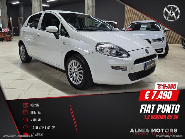 Auto - Fiat punto 1.2 8v 5p. street