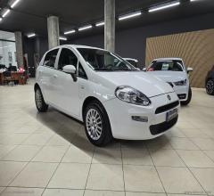 Auto - Fiat punto 1.2 8v 5p. street