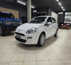 Auto - Fiat punto 1.2 8v 5p. street