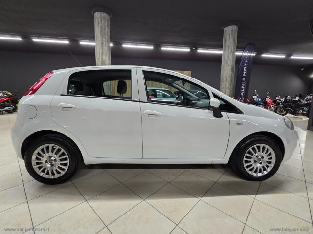 Auto - Fiat punto 1.2 8v 5p. street