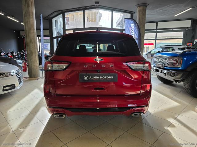 Auto - Ford kuga 1.5 ecoblue 120 cv 2wd st-line