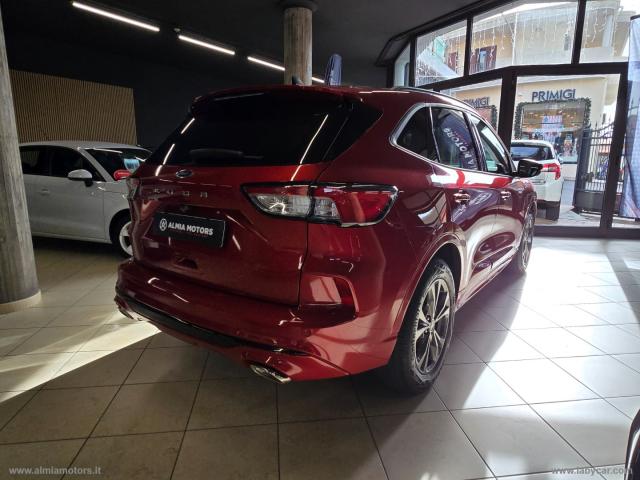 Auto - Ford kuga 1.5 ecoblue 120 cv 2wd st-line