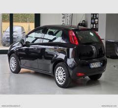 Auto - Fiat punto 1.2 8v 5p. street