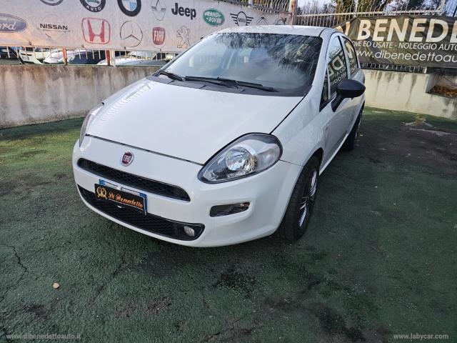 Auto - Fiat punto 1.2 8v 5p. street