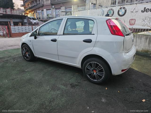 Auto - Fiat punto 1.2 8v 5p. street