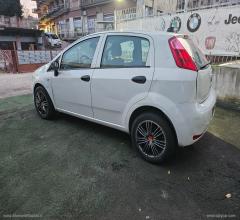 Auto - Fiat punto 1.2 8v 5p. street