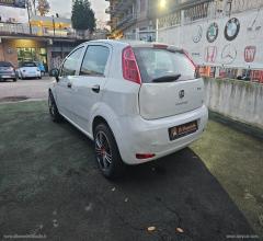 Auto - Fiat punto 1.2 8v 5p. street