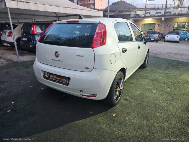 Auto - Fiat punto 1.2 8v 5p. street