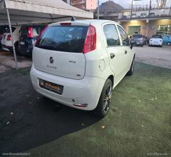 Auto - Fiat punto 1.2 8v 5p. street